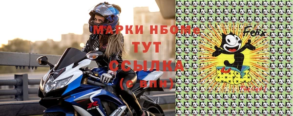 индика Иннополис