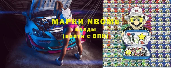 индика Иннополис