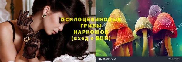индика Иннополис
