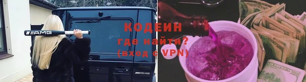 индика Иннополис