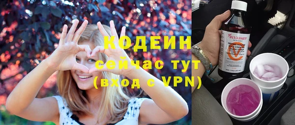 индика Иннополис