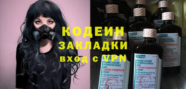 индика Иннополис