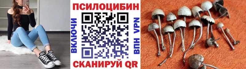 Купить закладки Лениногорск Псилоцибиновые грибы ЛСД